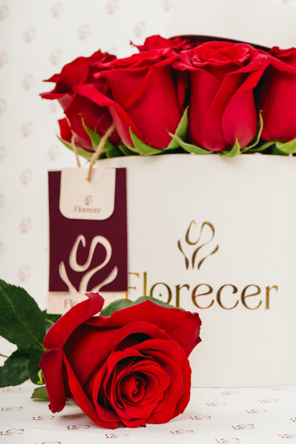 Box de 12 Rosas