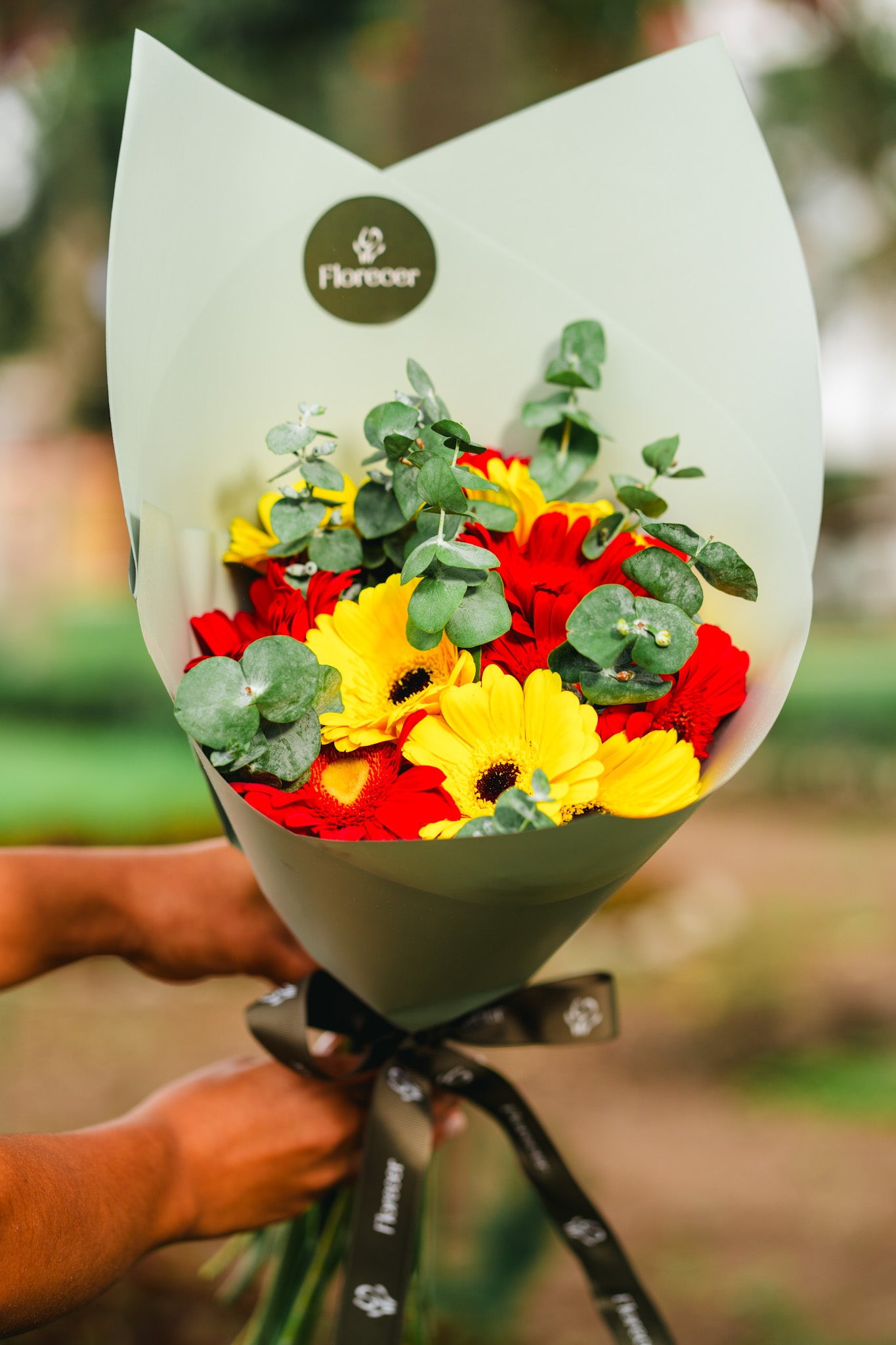 Ramo Alegria de Gerberas