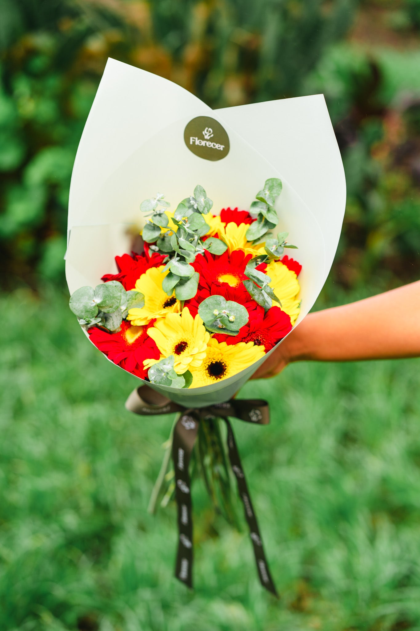 Ramo Alegria de Gerberas